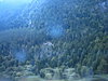 IMG 5077
