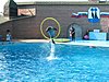 IMG 1841