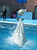 IMG 1836