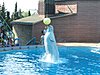 IMG 1835
