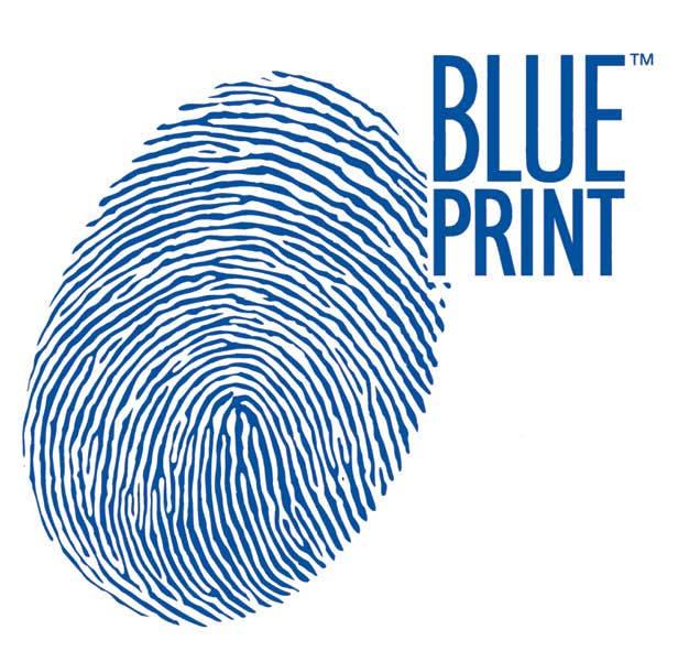 Blue Print Blue(1) (1)